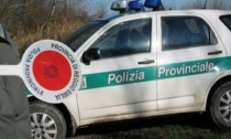 Fondi: presidio della Polizia provinciale al Mercato ortofrutticolo