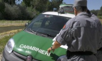 Cassino: La Forestale sequestra un depuratore (VIDEO)