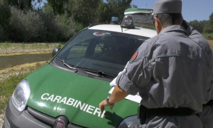 INCENDI BOSCHIVI E REATI AMBIENTALI, LE NUOVE TECNOLOGIE (VIDEO)