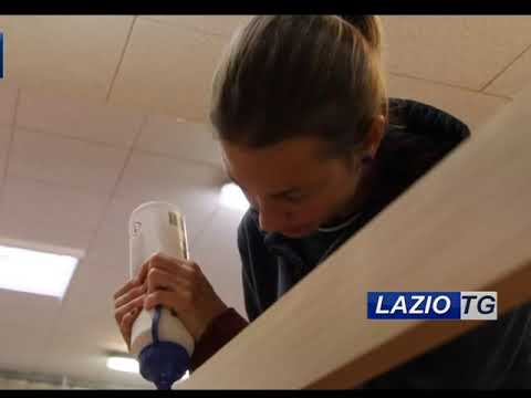 Lazio Tv: Lavoro e sanzioni disciplinari, l’avvocato risponde