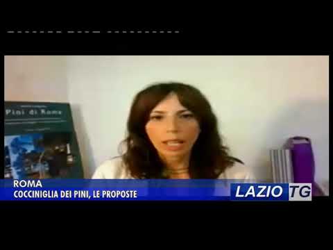 ROMA: PINI DI ROMA, LE PROPOSTE