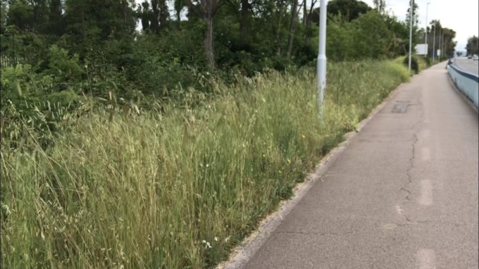LATINA: ERBA ALTA SULLA PISTA CICLABILE, LA DENUNCIA