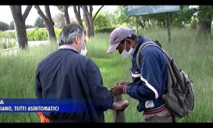 SABAUDIA: CLUSTER INDIANO, TUTTI ASINTOMATICI