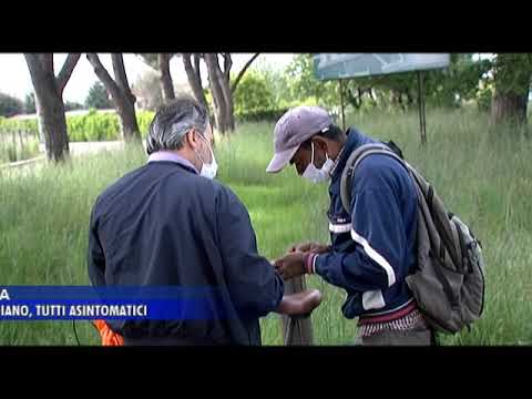 SABAUDIA: CLUSTER INDIANO, TUTTI ASINTOMATICI