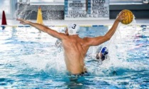 PALLANUOTO A2: ANZIO PER LA FINALE. VIS NOVA E F&D H20 VELLETRI K.O. CASTELLI ROMANI RETROCEDE IN B.