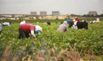 LATINA: STRANIERI IRREGOLARI, ESPULSIONI IN AUMENTO