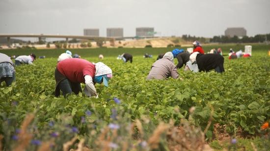LATINA: STRANIERI IRREGOLARI, ESPULSIONI IN AUMENTO