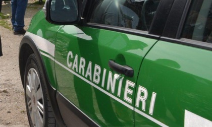 FROSINONE: DEPURATORE NON IN REGOLA, TRE ARRESTI PER INQUINAMENTO