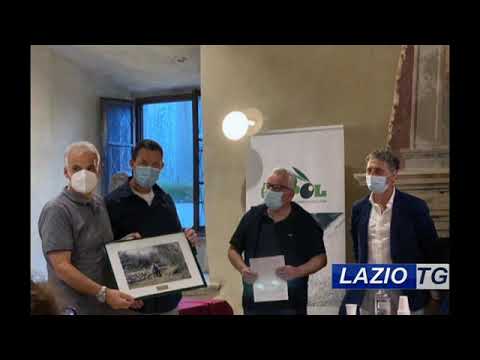 MAENZA: OLIO DELLE COLLINE, IL CONCORSO