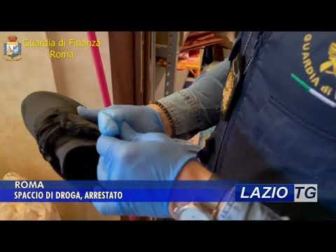 CIAMPINO: 5 KG DI DROGA INTERCETTATI ALL’AEROPORTO (VIDEO)