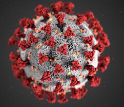 CORONAVIRUS: OGGI A LATINA E PROVINCIA 47 NUOVI CASI