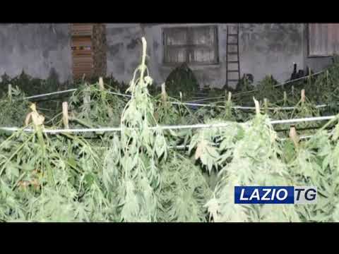 LATINA/ROMA: ASSOCIAZIONE MAFIOSA, ARRESTI E SEQUESTRI