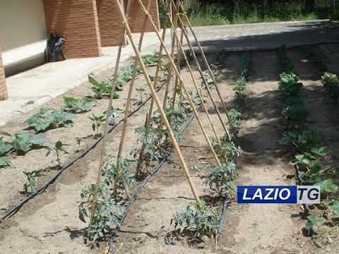 RIETI: PRESENTATO IL PROGETTO “L’ORTO TERAPEUTICO”