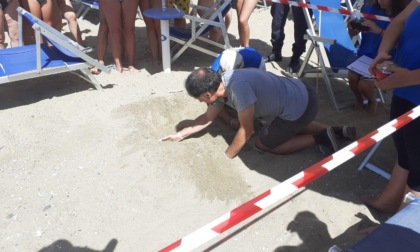 TERRACINA: TARTARUGA DEPOSITA UOVA SULLA SABBIA (VIDEO)