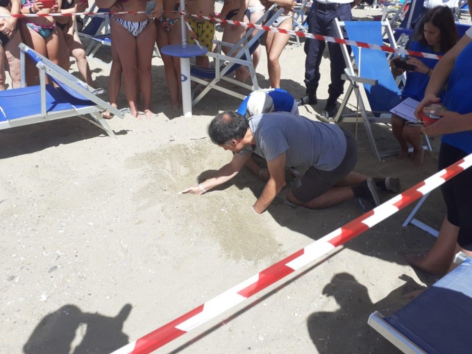 TERRACINA: TARTARUGA DEPOSITA UOVA SULLA SABBIA (VIDEO)