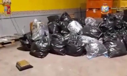 CISTERNA DI LATINA: 1,7 TONNELLATE DI MARIJUANA NEL CAPANNONE (VIDEO)