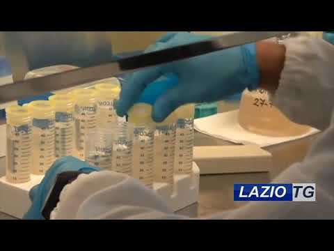 FROSINONE: ATTACCO HACKER, LA ASL SI ATTIVA