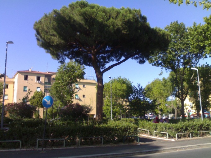 ROMA: RAPINA E STUPRO, TRE ARRESTI
