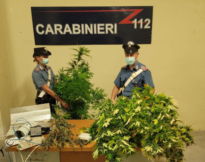POMEZIA: SERRA DI MARIJUANA IN UN BOX, ARRESTATO