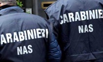 VITERBO: MACELLAZIONE CLANDESTINA, I SEQUESTRI (VIDEO)