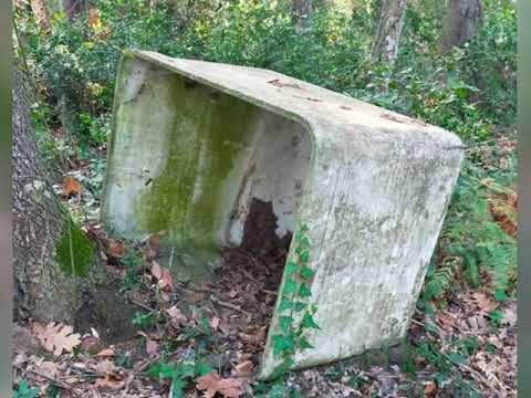 SABAUDIA: PLASTIC FREE, L’INIZIATIVA