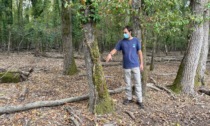 SABAUDIA: DAINI, IL PIANO DI CONTROLLO AL PARCO NAZIONALE DEL CIRCEO (VIDEO)