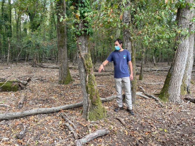 SABAUDIA: DAINI, IL PIANO DI CONTROLLO AL PARCO NAZIONALE DEL CIRCEO (VIDEO)