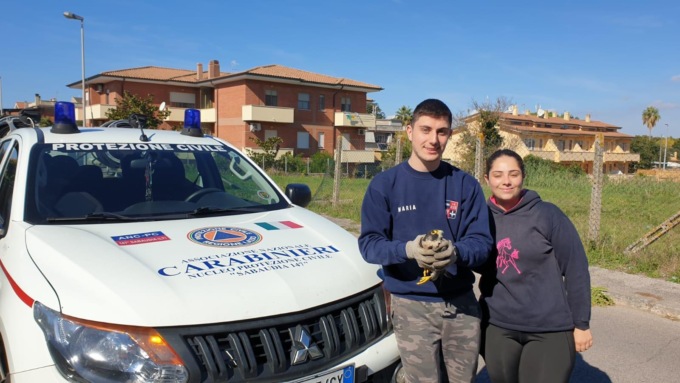 SABAUDIA: SALVATO GIOVANE RAPACE