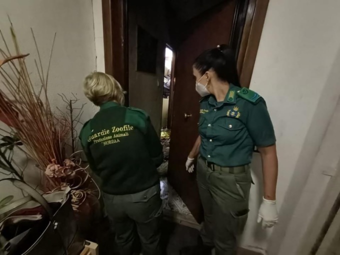ROMA: ANIMALI MALTRATTATI, L’INTERVENTO