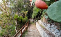 TERRACINA: URBAN NATURE AL PARCO DELLA RIMEMBRANZA (VIDEO)