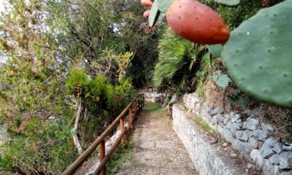 TERRACINA: URBAN NATURE AL PARCO DELLA RIMEMBRANZA (VIDEO)