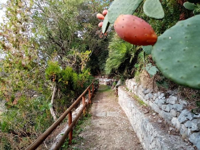TERRACINA: URBAN NATURE AL PARCO DELLA RIMEMBRANZA (VIDEO)