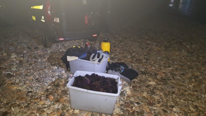 SANTA MARINELLA: SEQUESTRATI 2MILA RICCI DI MARE (video)