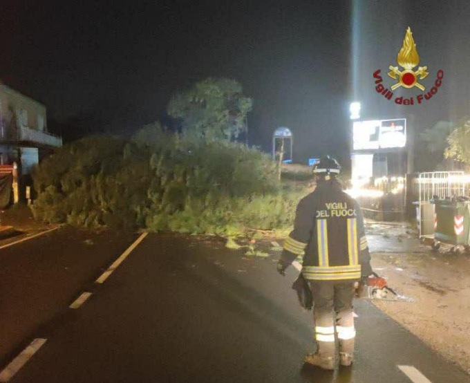 ROMA: GROSSO ALBERO CADE SULLA CASILINA