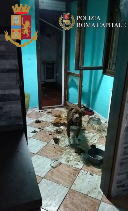 ROMA: CANE LEGATO AL TERMOSIFONE E SENZA CIBO