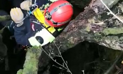 GUIDONIA: CADE IN UN POZZO, CANE SALVATO DAI VIGILI DEL FUOCO