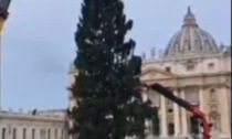 CITTA' DEL VATICANO: ARRIVATO L'ABETE DI NATALE IN PIAZZA SAN PIETRO