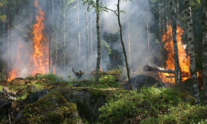 SERMONETA: INCENDIO BOSCHIVO, ARRESTATO DOPO 4 ANNI