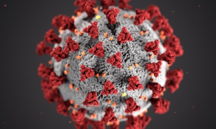 CORONAVIRUS: OGGI A LATINA E PROVINCIA 630 NUOVI CASI E 2 DECESSI        (effettuati meno tamponi)