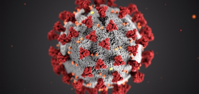 CORONAVIRUS: OGGI A LATINA E PROVINCIA 172 NUOVI CASI e UN DECESSO