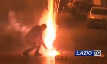 CAPODANNO: BOTTI, L'APPELLO DELLA LIPU