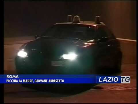 ROMA: PICCHIA LA MADRE, GIOVANE ARRESTATO (VIDEO)