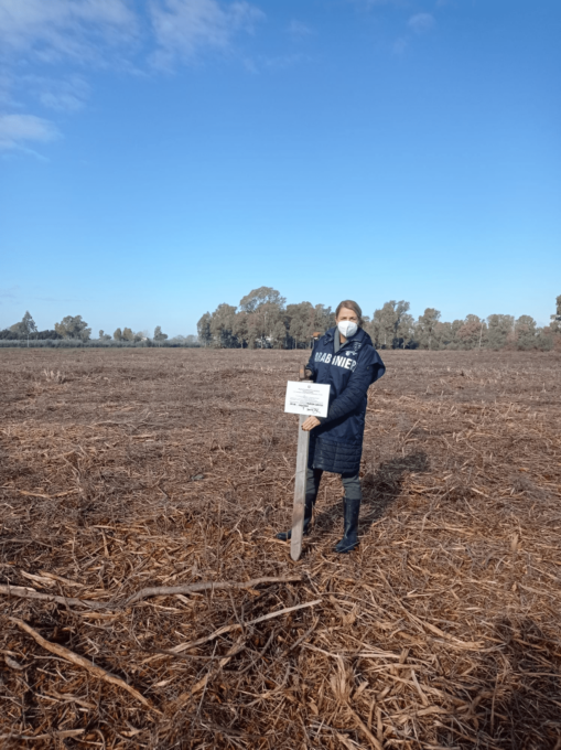 LATINA: AREA BOSCATA ERADICATA, SEQUESTRO E DENUNCIA