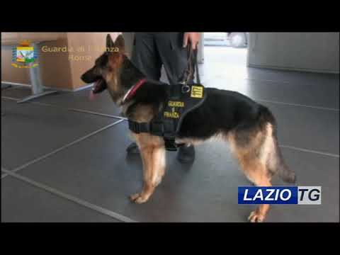 CIVITAVECCHIA: DROGA NEL CAMION, ARRESTATO