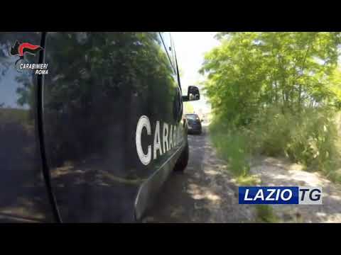 ROMA: ARMI E DROGA, SEI ARRESTI