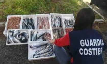 ROMA: LA GUARDIA COSTIERA E  TUTELA DEI CONSUMATORI