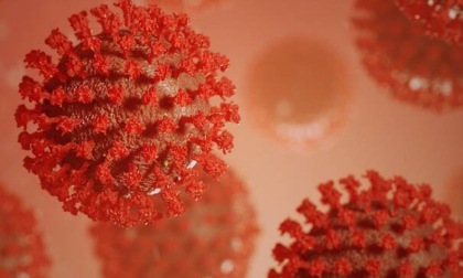 CORONAVIRUS: 567 CASI A LATINA E PROVINCIA