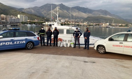 CASSINO: LA STRADALE SEQUESTRA TELLINE PESCATE ILLEGALMENTE