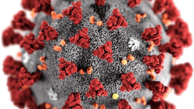 CORONAVIRUS: A LATINA E PROVINCIA 1.074 NUOVI CASI