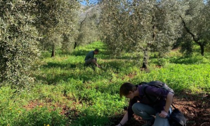 FONDI: ESPERTI USA IN ZONA SAN MAGNO E SANT'ANDREA PER I DISPERSI IN GUERRA